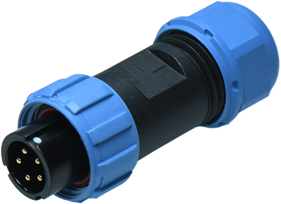 DP13